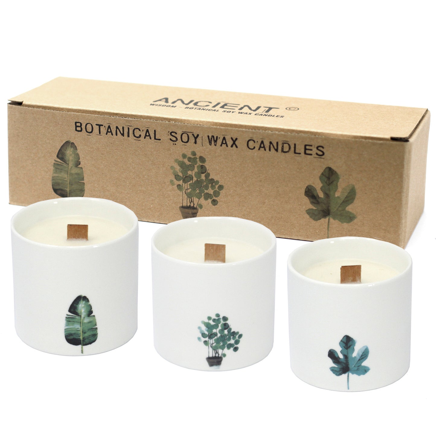 Med Botanical Candles - Japanischer Garten