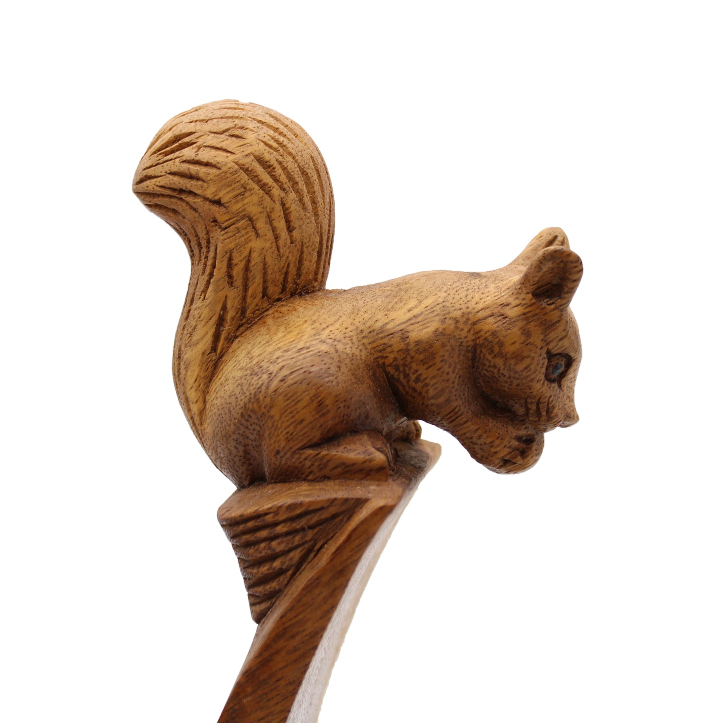 Balance Bottle Holders - Squirrel