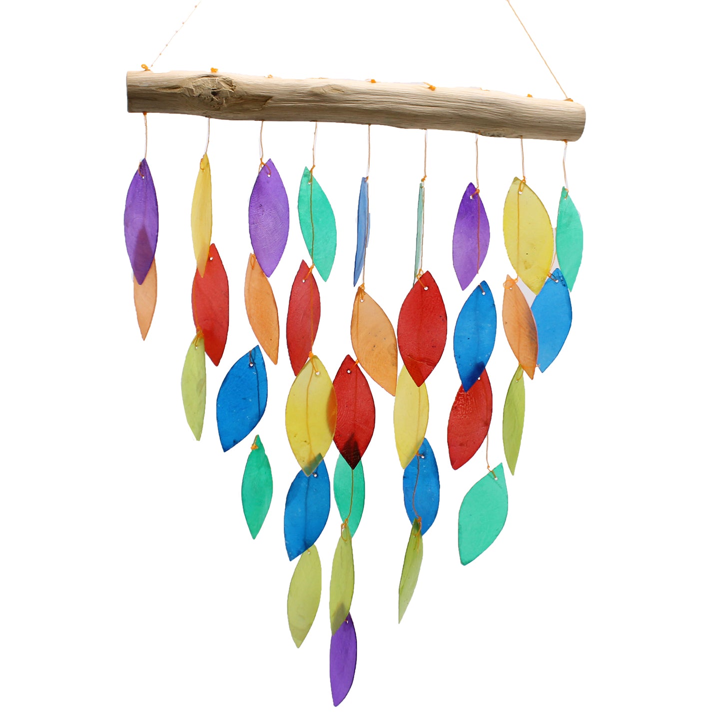 Regenbogenblatt-Copis-Glockenspiel
