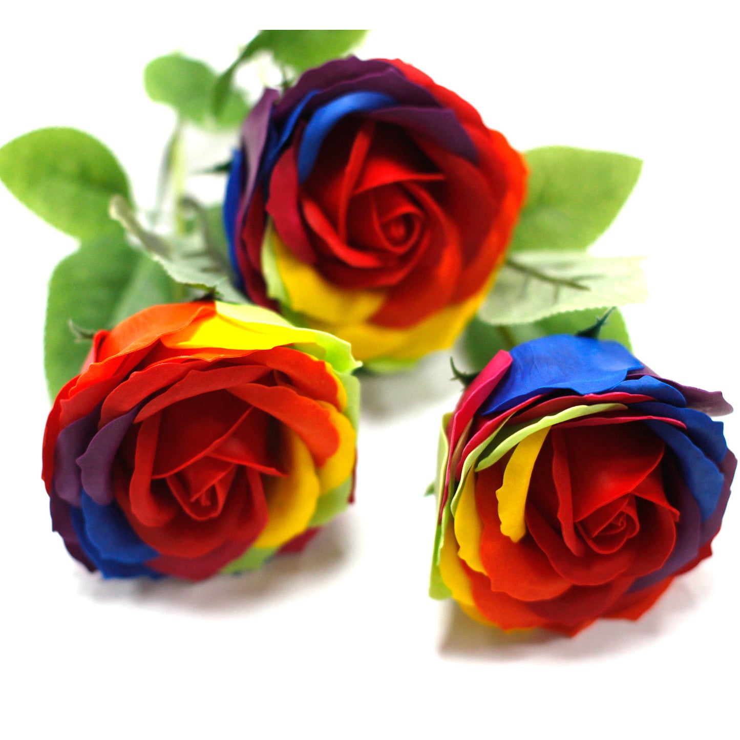 Luxus Seifenblume - Regenbogen