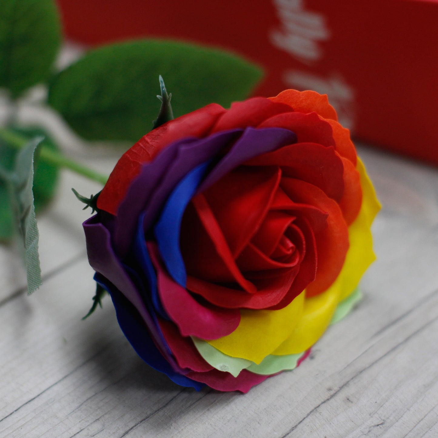 Luxus Seifenblume - Regenbogen