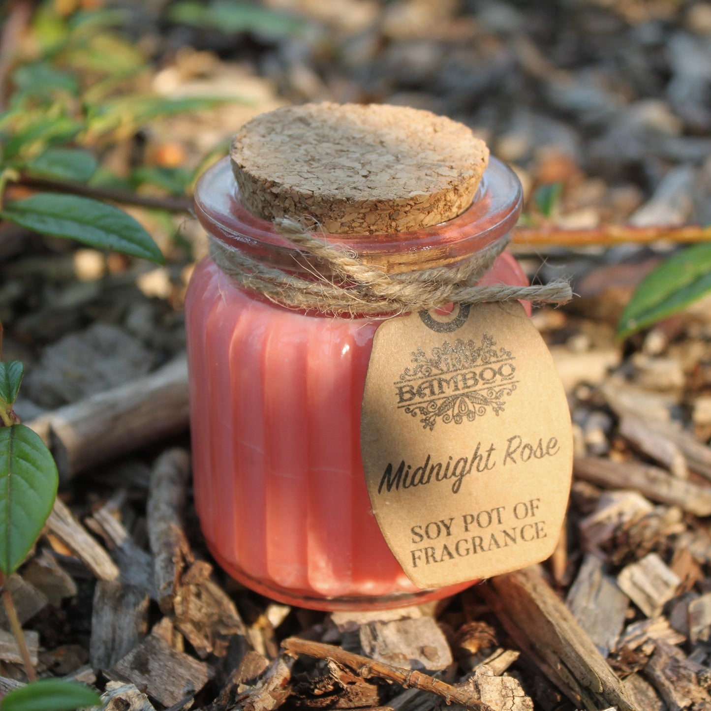 Midnight Rose Soy Pot of Fragrance Candles X1