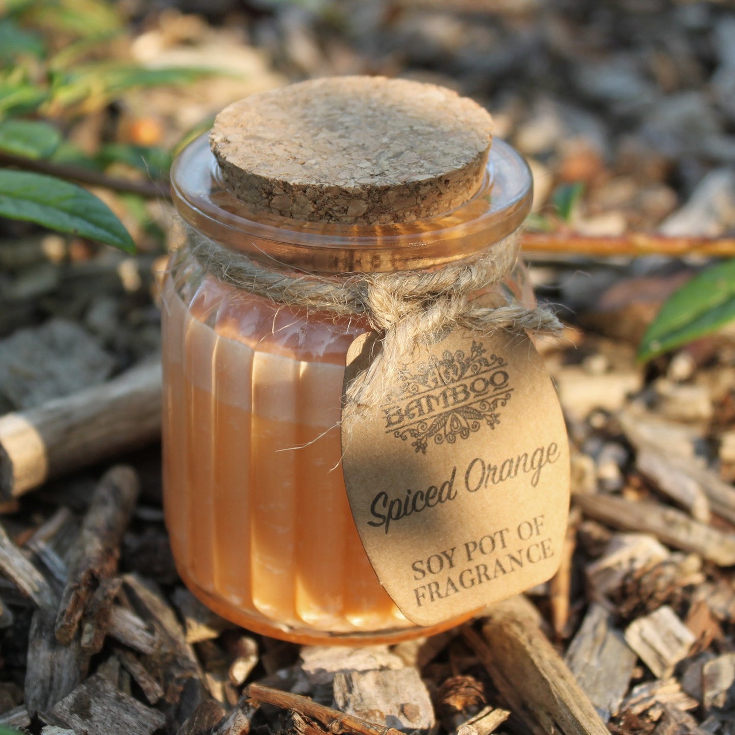 Spiced Orange Soy Pot of Fragrance Candles X1
