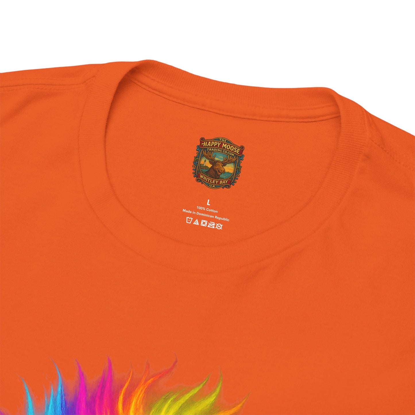 Rainbow Highland Cow T-Shirt — Colourful Neon Graphic Tee