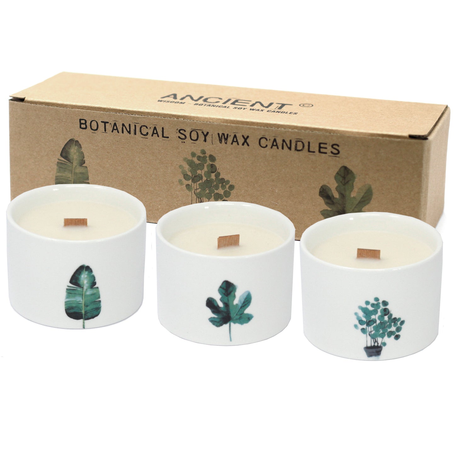 Med Botanical Candles - Japanischer Garten
