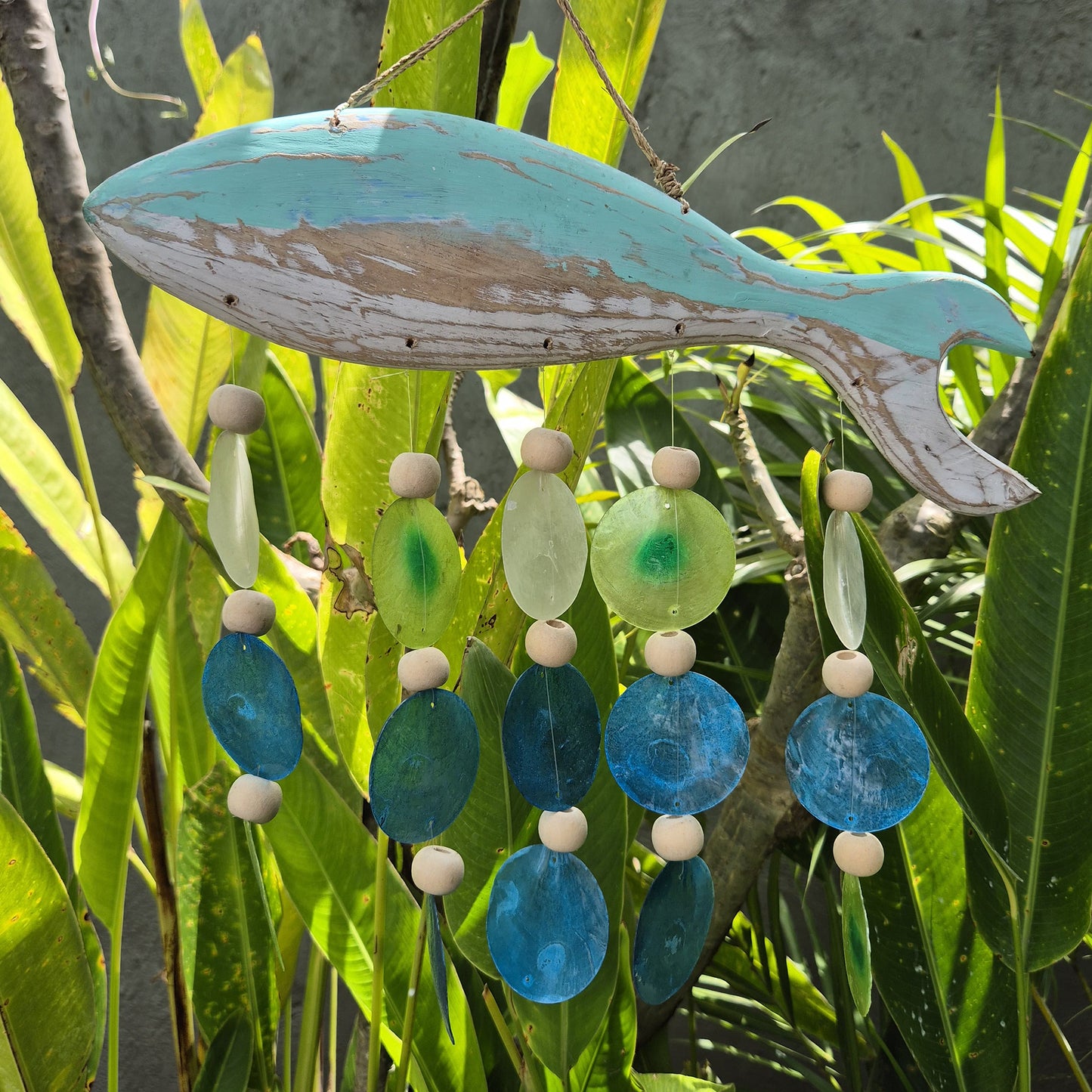 Aqua Fish Carving und Copis Drop