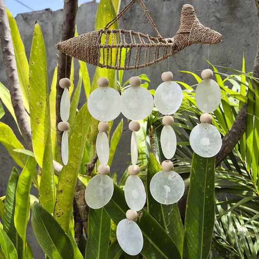 String Fish und Natural Copis Drop