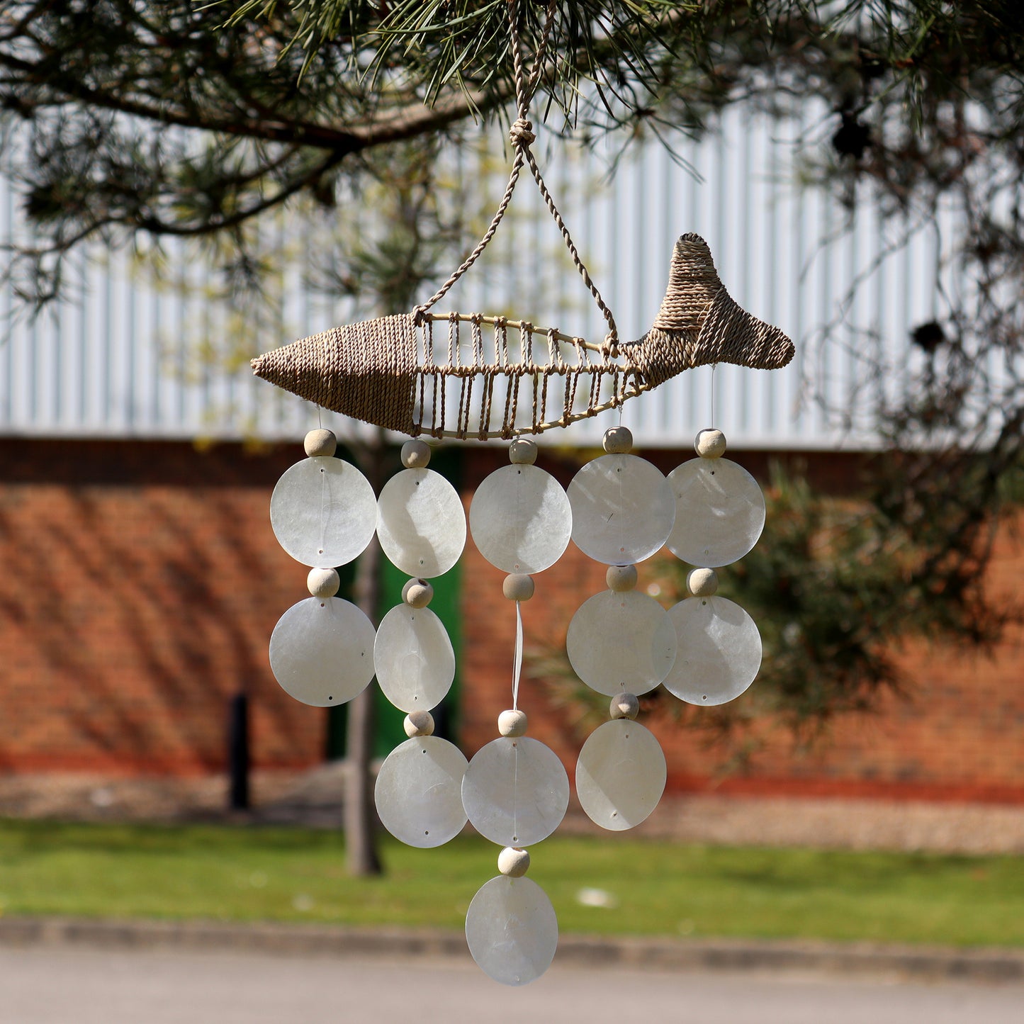 String Fish und Natural Copis Drop