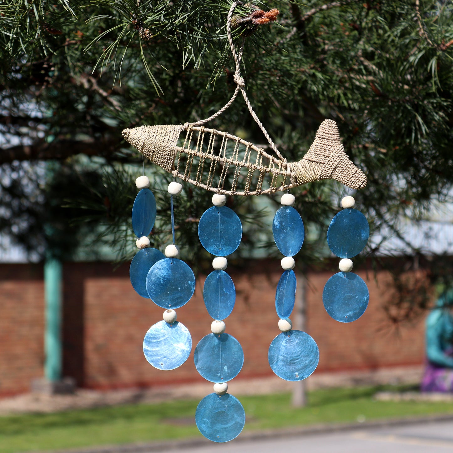 String Fish und Blue Copis Drop