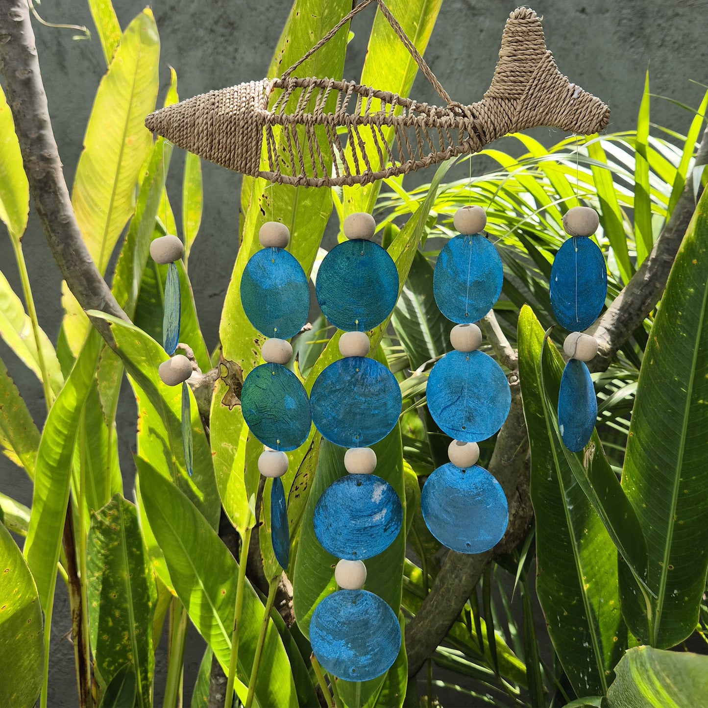 String Fish und Blue Copis Drop
