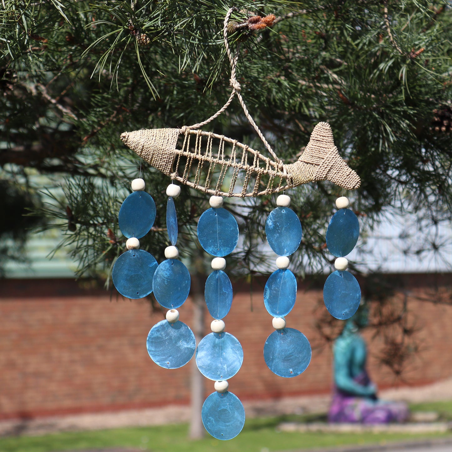 String Fish und Blue Copis Drop