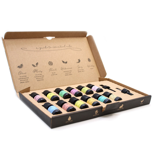 Aromatherapie Ätherische Öle Set - Die Top 12