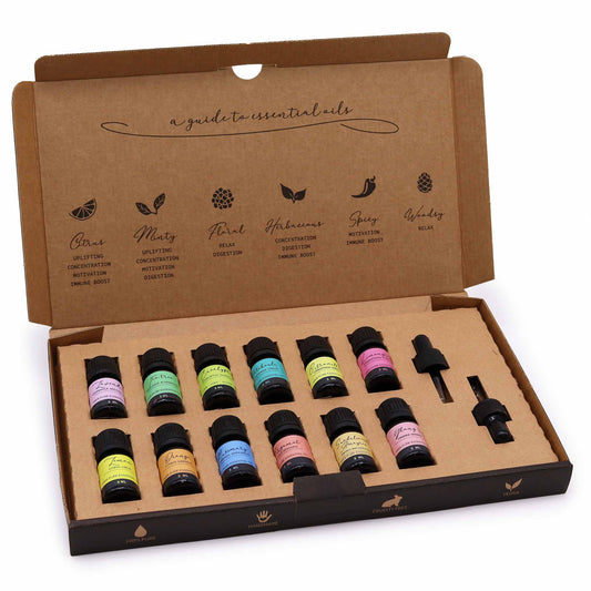 Aromatherapie Ätherische Öle Set - Die Top 12