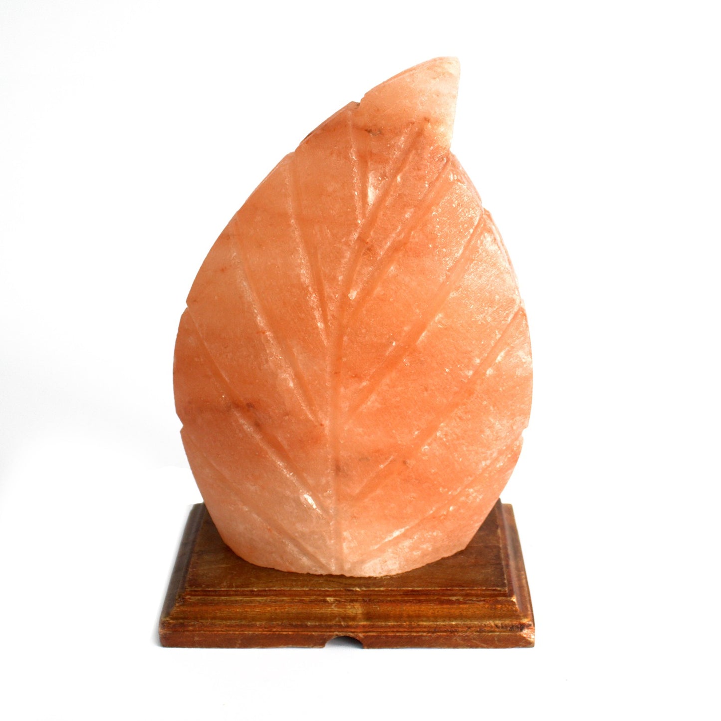 Shape Salzlampe - Farn