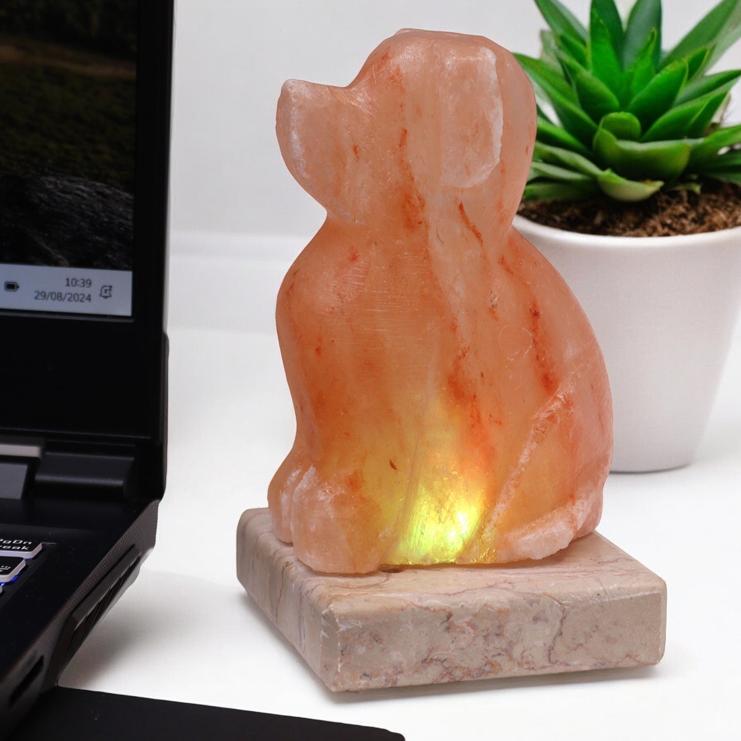 USB-Stick in Hundeform (mehrfarbig)