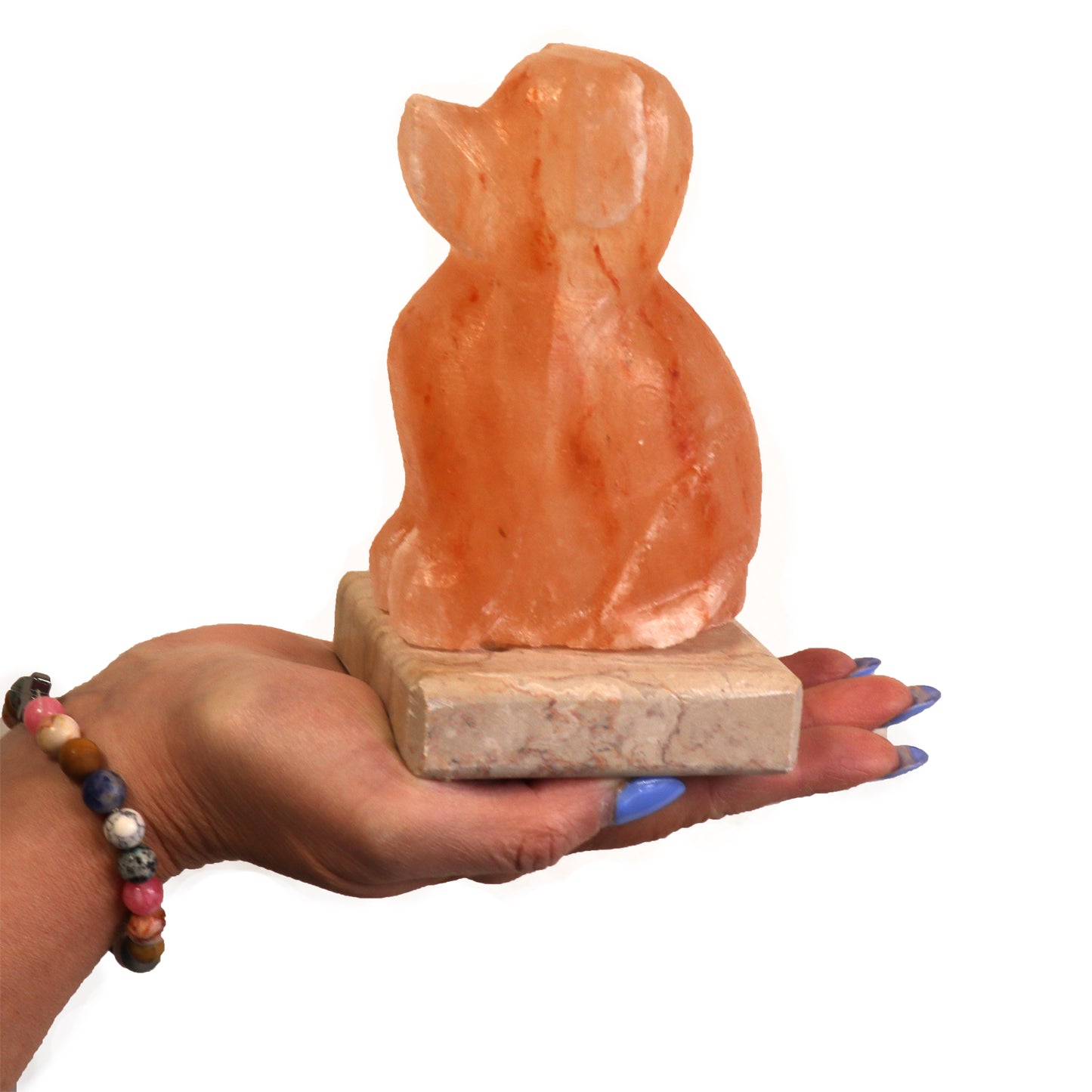 USB-Stick in Hundeform (mehrfarbig)