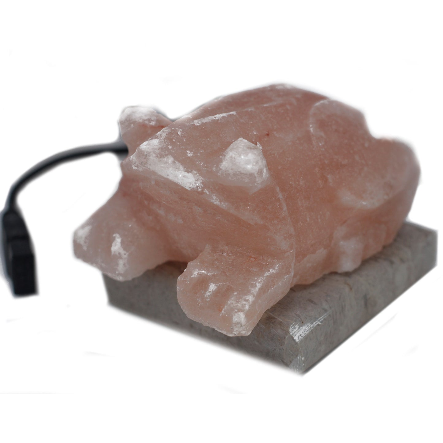 USB-Krötenform (Multi)