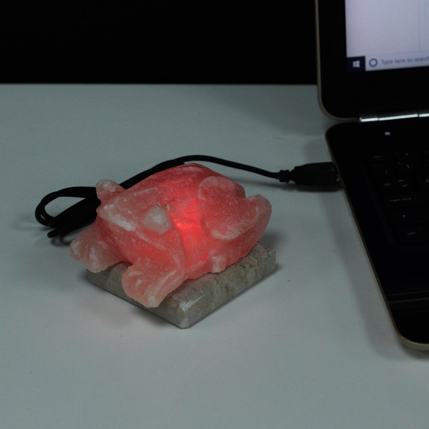 USB-Krötenform (Multi)
