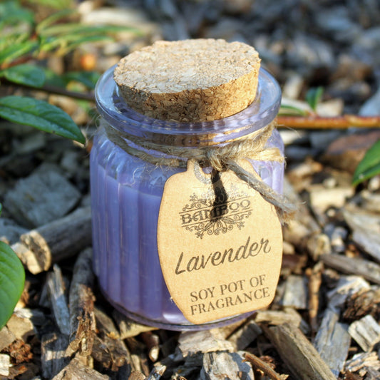 Lavendel-Soja-Topf mit Duftkerzen, 2 Stück