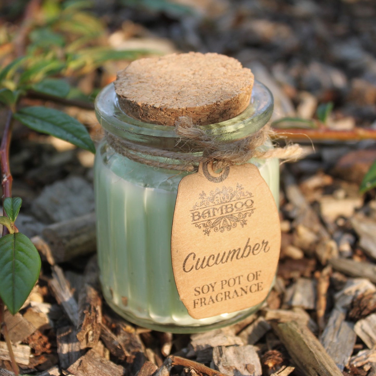 Cucumber Soy Pot of Fragrance Candles  X1