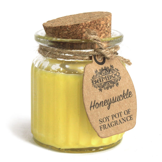 Honeysuckle Soja-Duftkerzen im Topf, 2 Stück