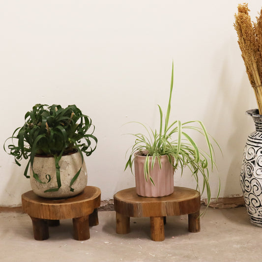 Low Teak Pad Display, Set Of Two - 24x10cm