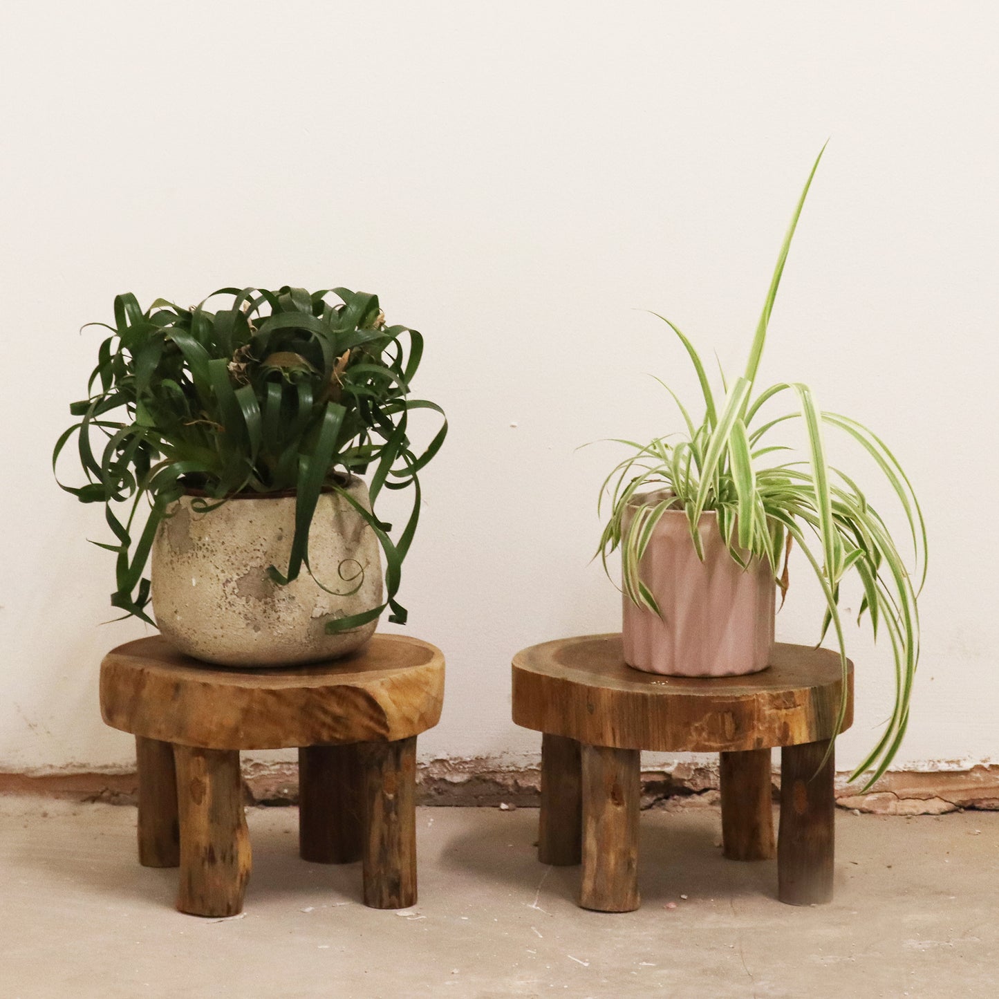Med Teak Pad Display, Set Of Two - 27x15cm