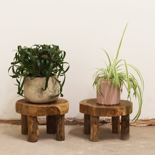Med Teak Pad Display, Set Of Two - 27x15cm
