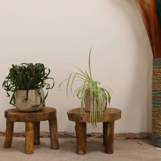 Higher Teak Pad Display, Set Of Two - 27x20cm
